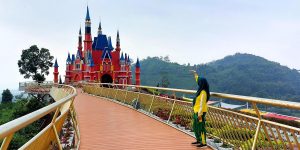 Why Using the Best Disney Travel Agency Saves You Time and Money